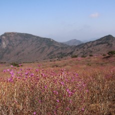 대구 비슬산 숲명상 여행(1박2일)