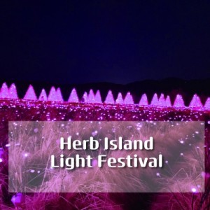 (4p~/Car+Admission Fees)Herb Island Night Tour