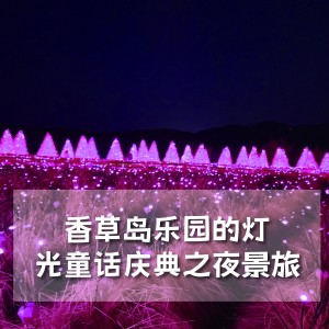 香草岛乐园的灯 光童话庆典之夜景旅